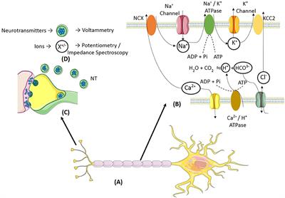 Closed-Loop Implantable Therapeutic Neuromodulation Systems Based on Neurochemical Monitoring